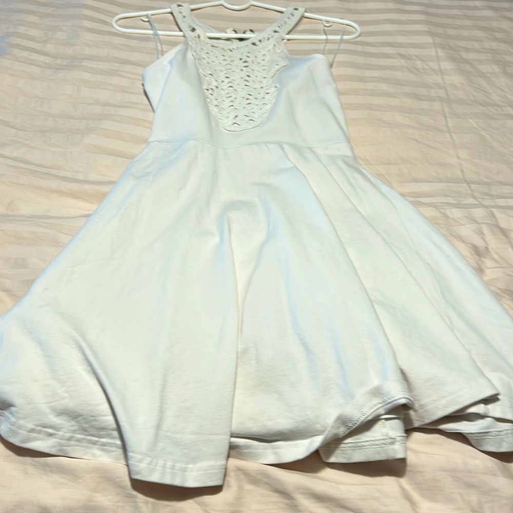 Express skater dress